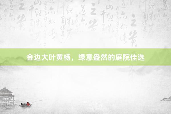 金边大叶黄杨，绿意盎然的庭院佳选