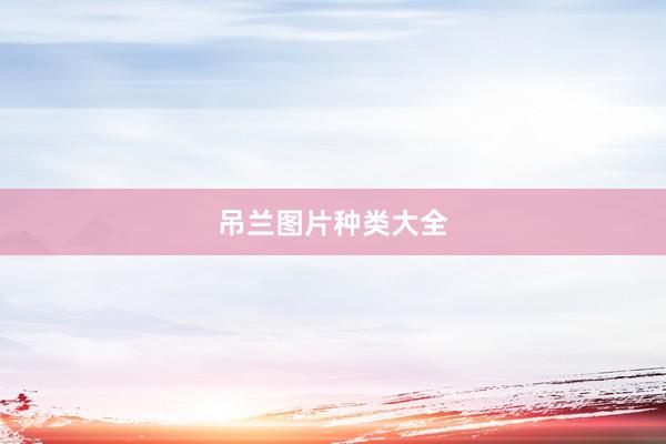 吊兰图片种类大全