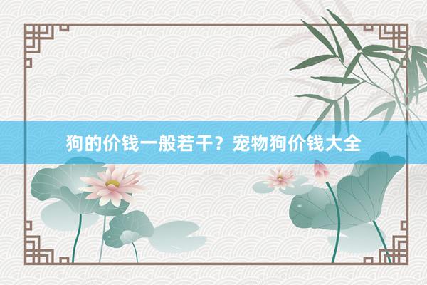 狗的价钱一般若干？宠物狗价钱大全