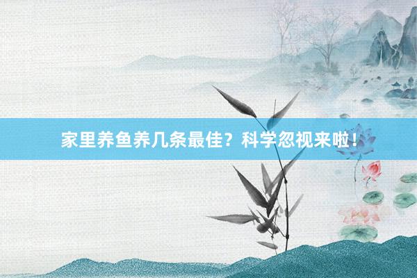 家里养鱼养几条最佳？科学忽视来啦！