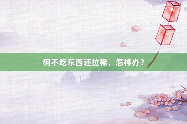 狗不吃东西还拉稀，怎样办？